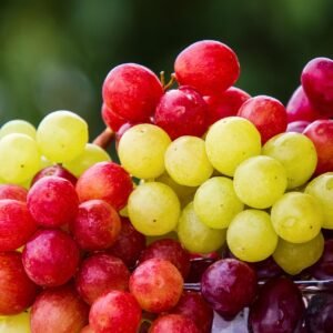 Home grapes, fruit, cluster, grape, fresh fruits, fresh, fresh grapes, harvest, products, bio, ripe, ripe grapes, cute, food, healthy, vitamins, grapes, grapes, fruit, fruit, fruit, fruit, fruit